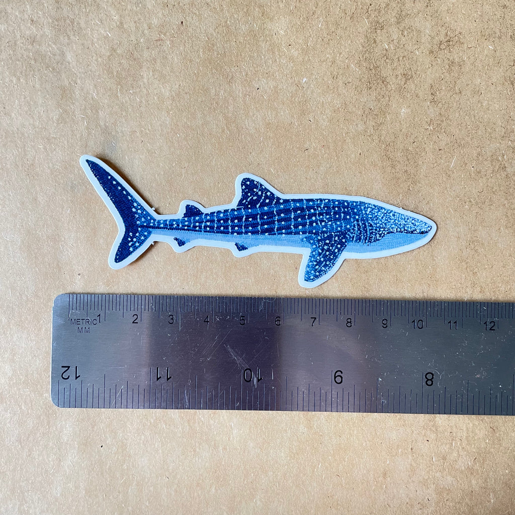 Whale Shark Sticker