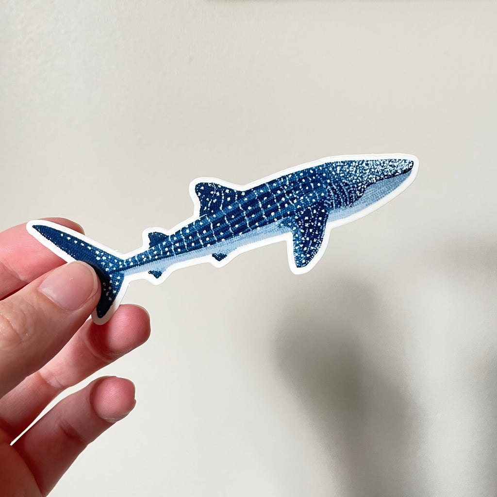 Whale Shark Sticker