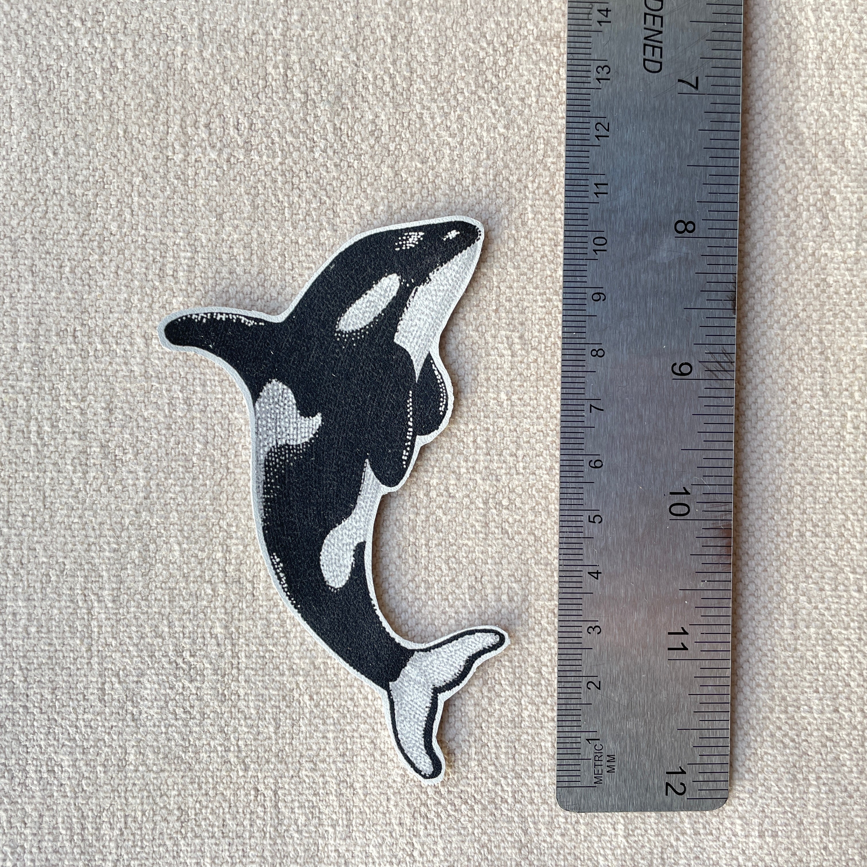 Orca Iron on Patch