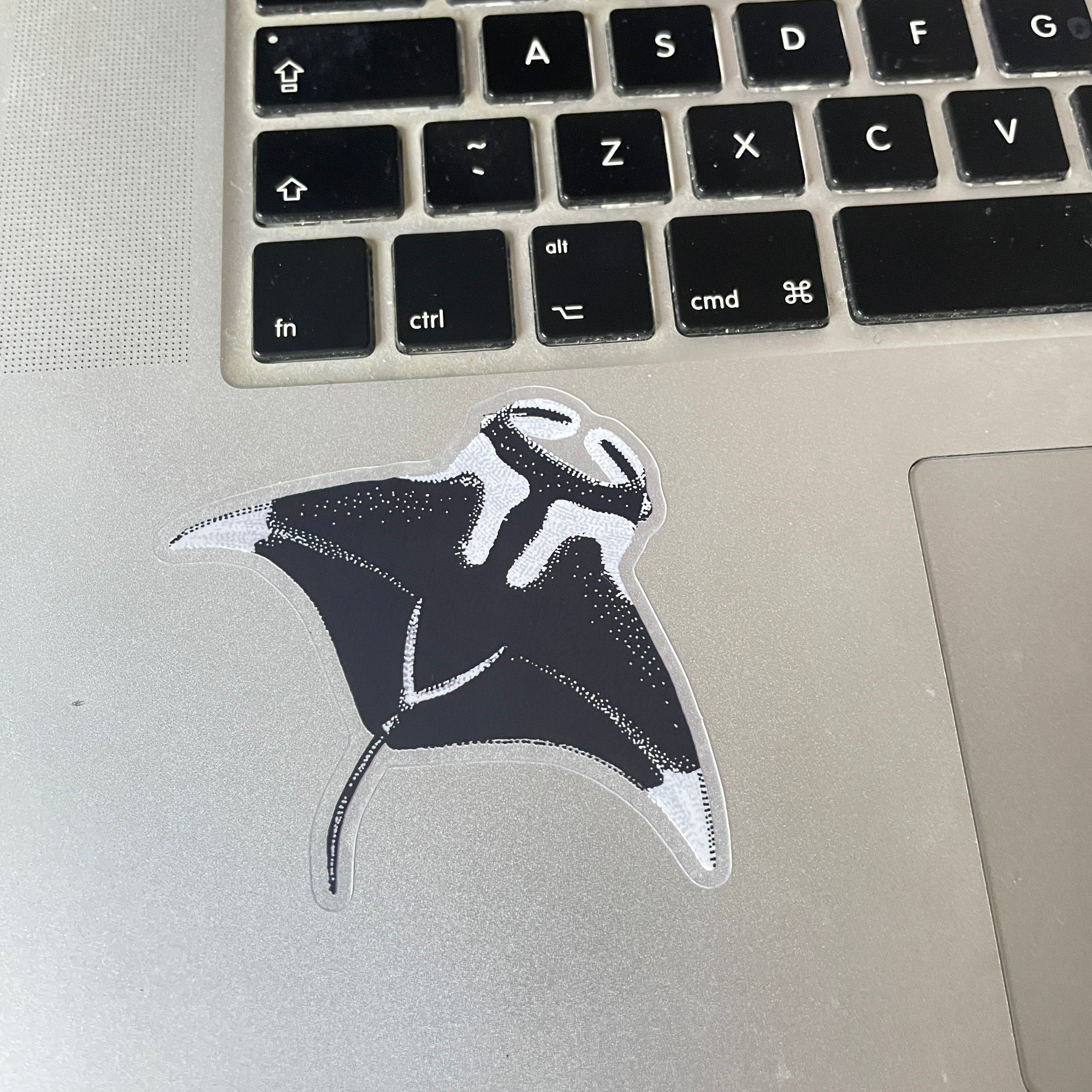 Manta Ray Sticker