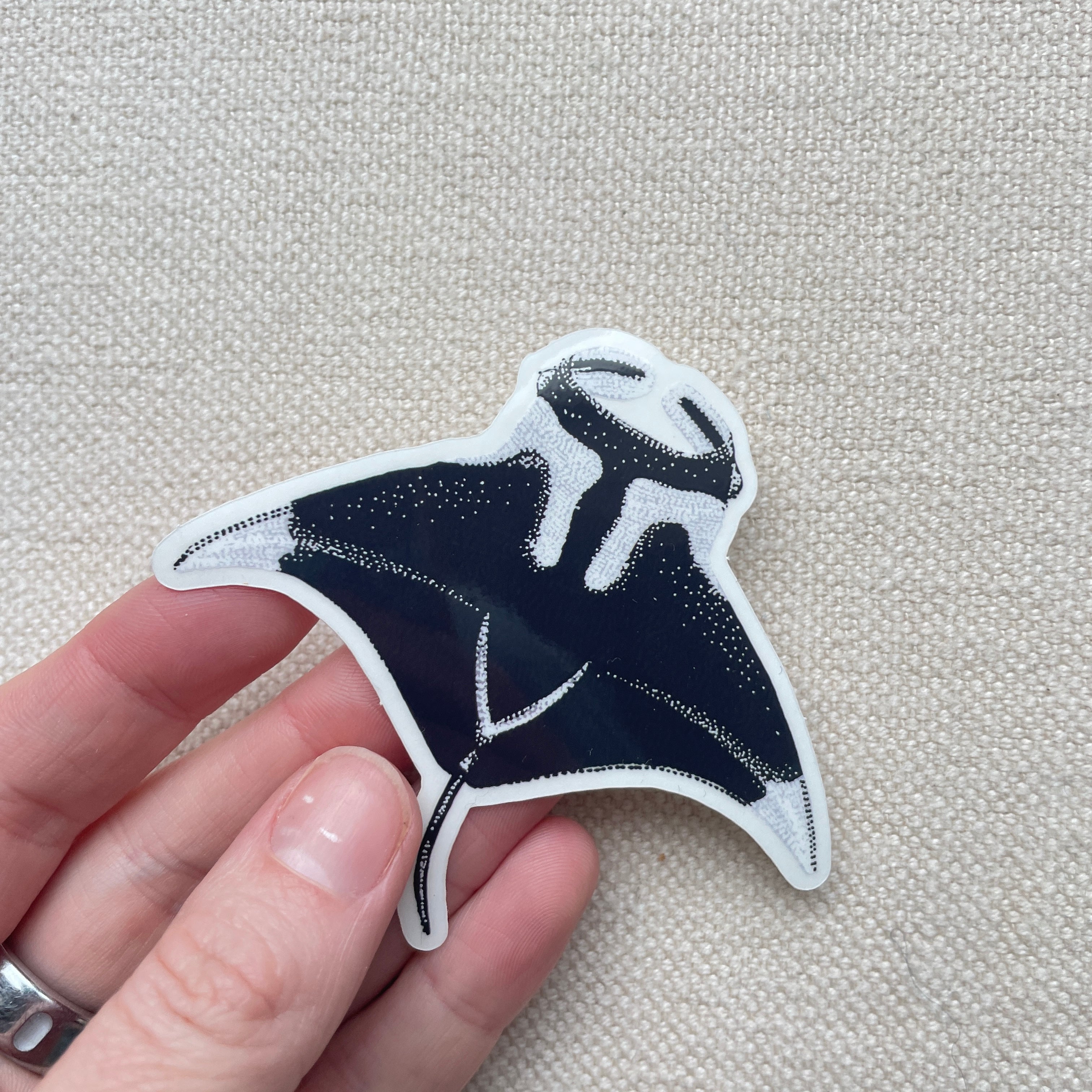 Manta Ray Sticker