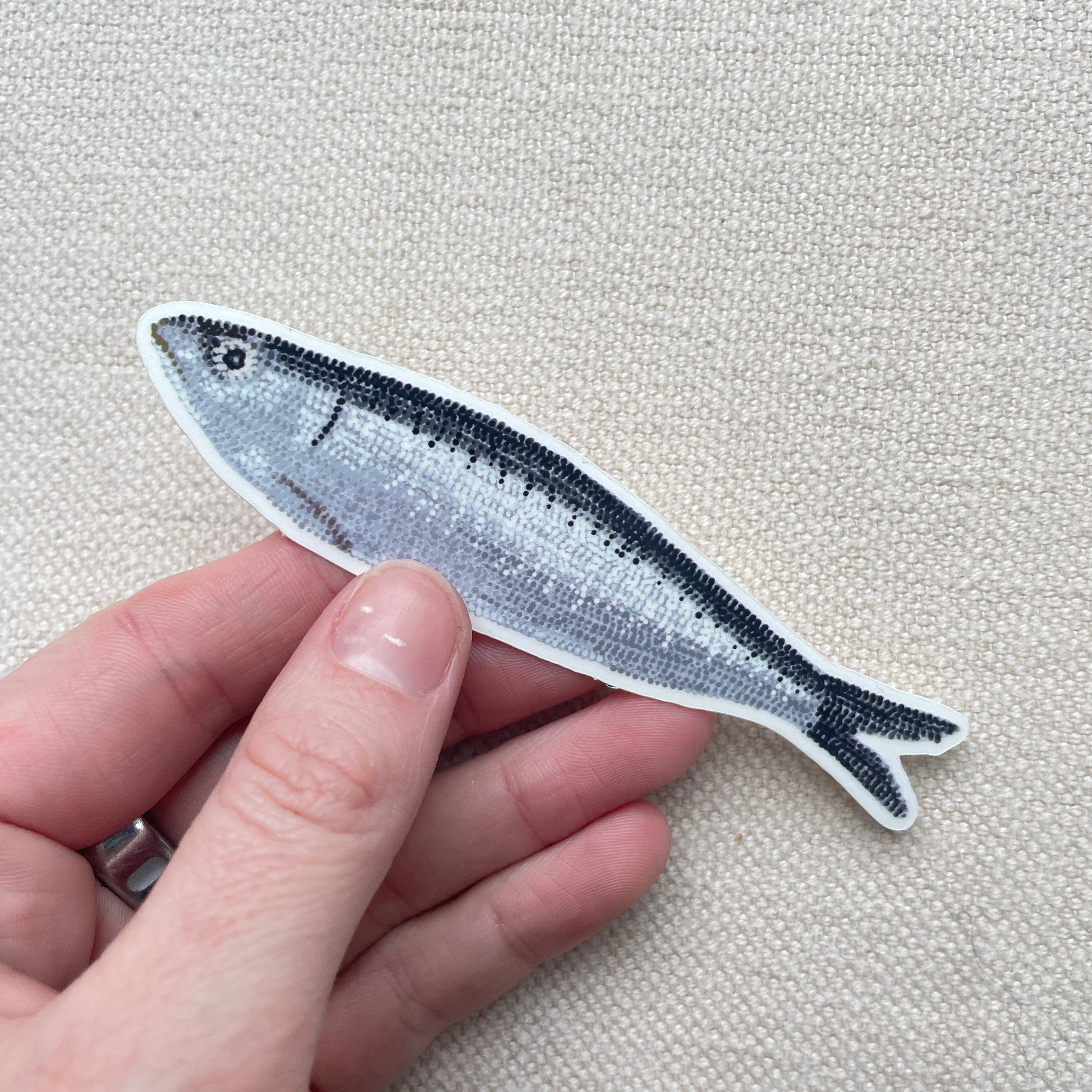 Sardine Sticker