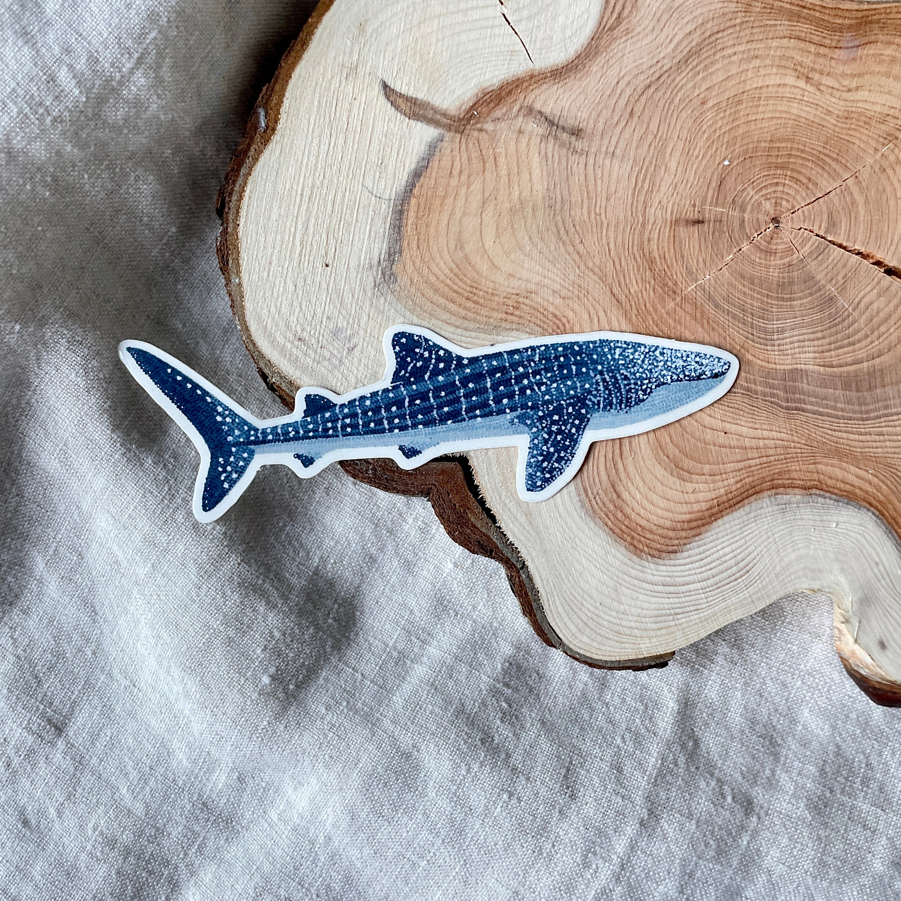 Whale Shark Sticker