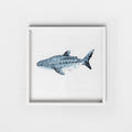 Framed artwork of a shark on a whale white background