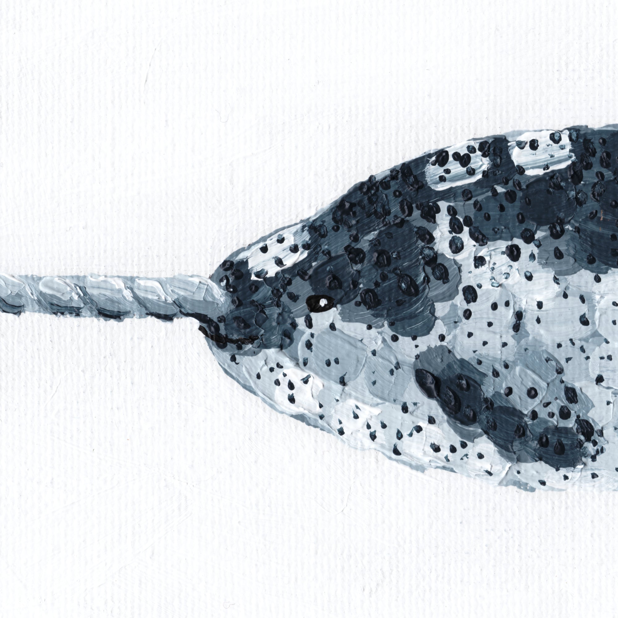 A Journey in Dots - Narwhal