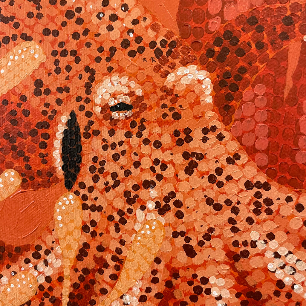 Ocean Garden - Octopus