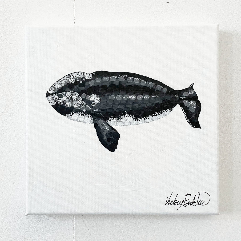 A Journey in Dots - Right Whale