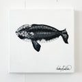 A Journey in Dots - Right Whale