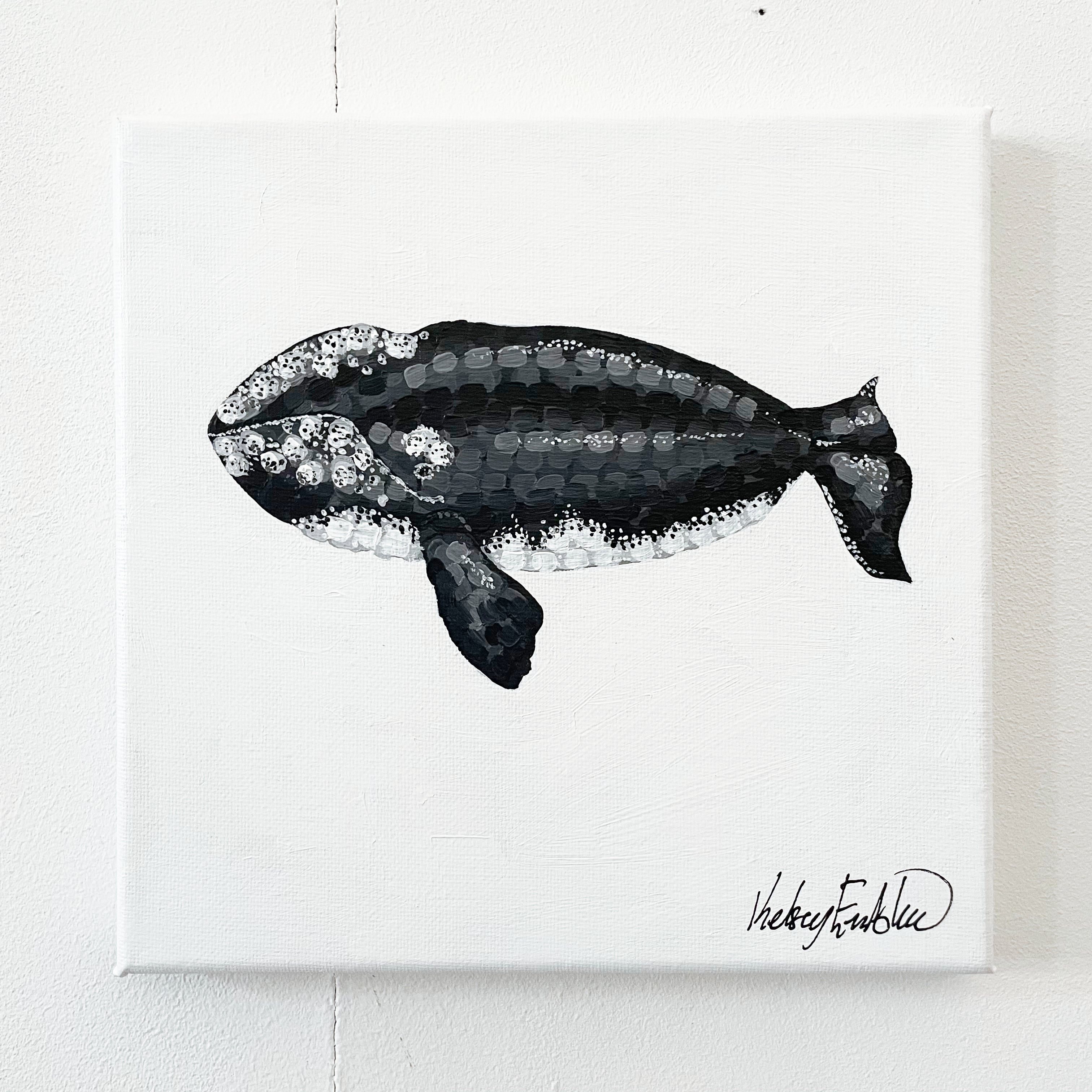 A Journey in Dots - Right Whale