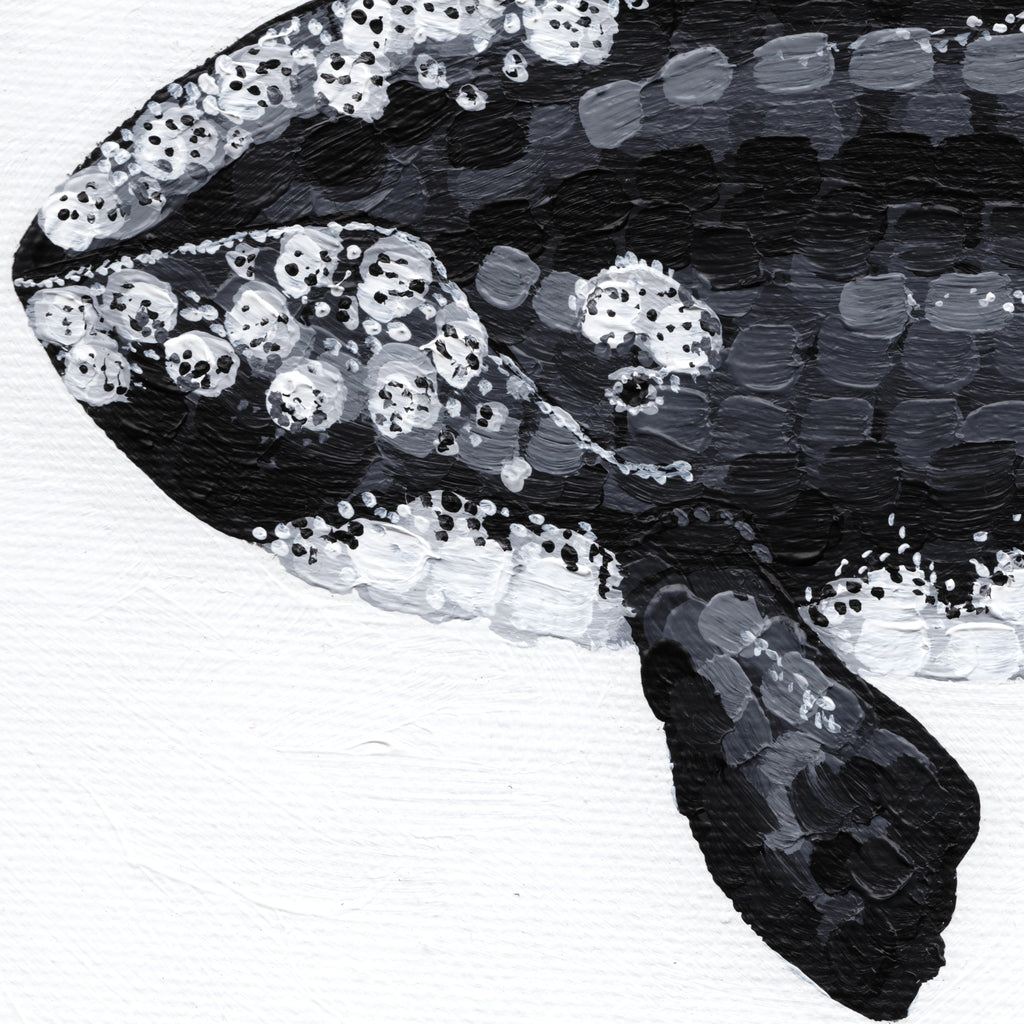 A Journey in Dots - Right Whale