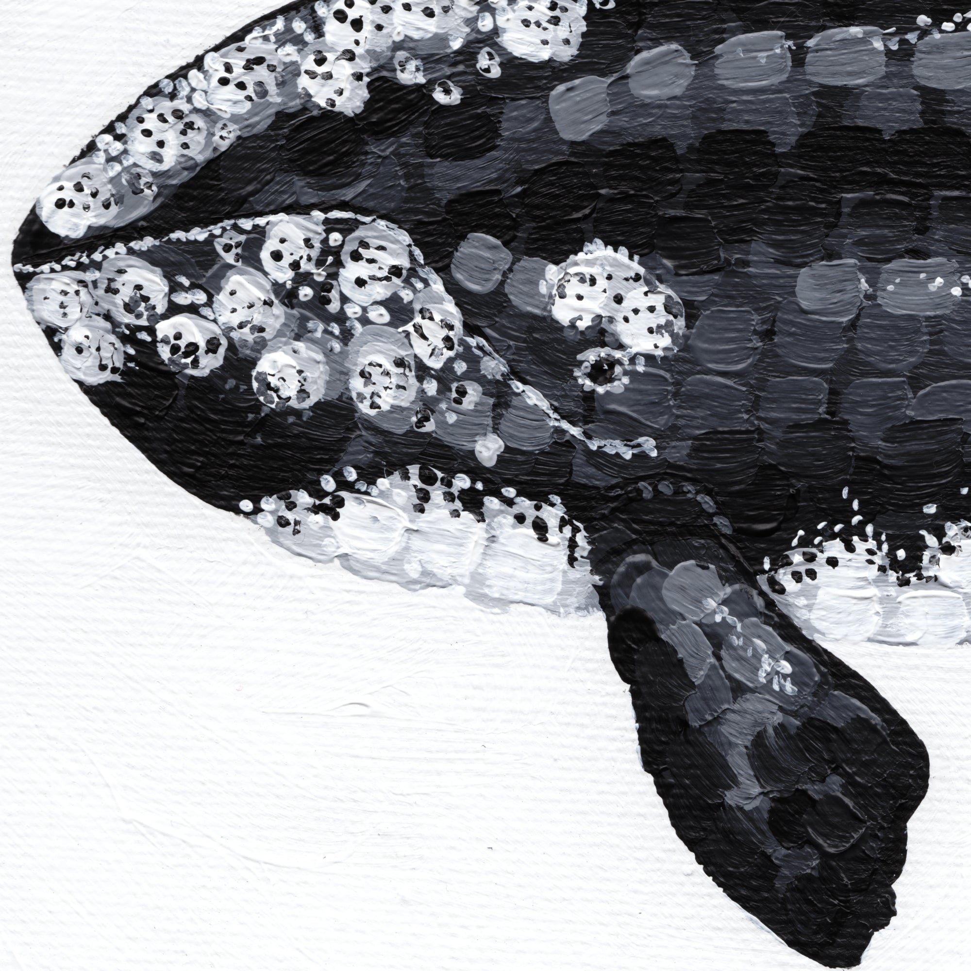 A Journey in Dots - Right Whale