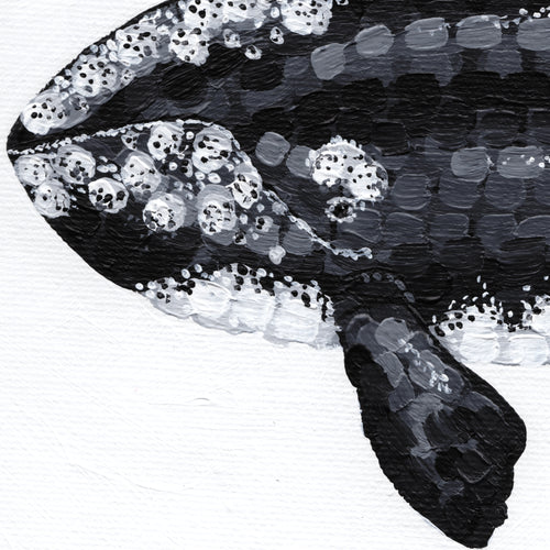 A Journey in Dots - Right Whale