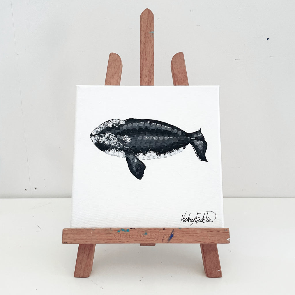 A Journey in Dots - Right Whale